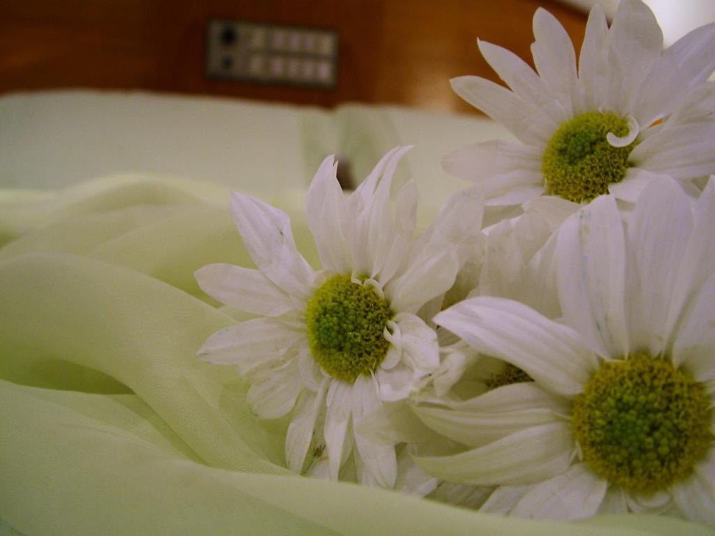Cristal Executive Hotel Francisco Beltrao Room photo